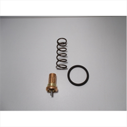 Termostat Valve Kit VTFT 25/71 (Van hằng nhiệt 71V) 2701380